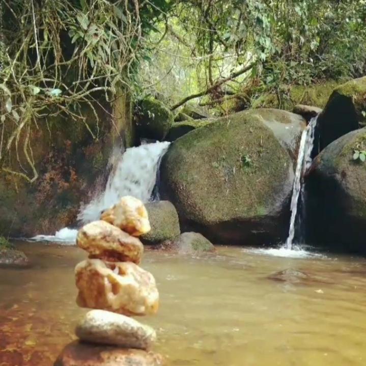 Morena Raiz Alojamento de Turismo Selvagem *